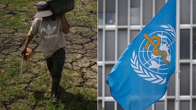 U.N. Warns of Intensifying El Niño: Implications for Southeast Asia