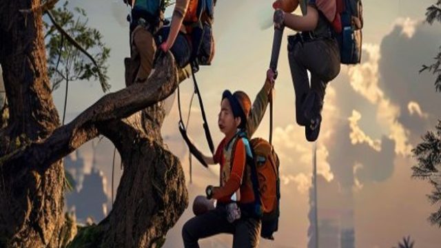 Exploring Adventure: A Day of Tree Climbing with Family