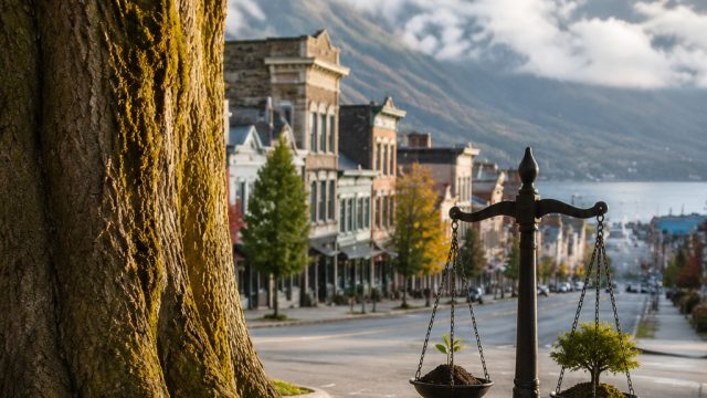 Canadian Town Grants Rights to Trees: A Landmark Environmental Decision