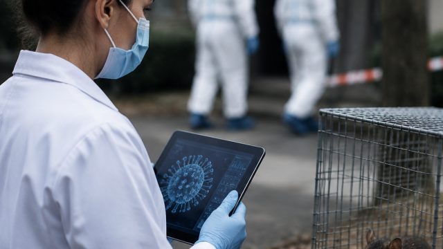 End of Hantavirus Quarantine: What This Means for Public Health