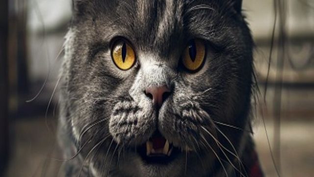 3523