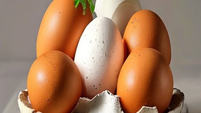 Why You Should Incorporate Eggs into Your Daily Diet | rtp slot mpo888, agen4d wap